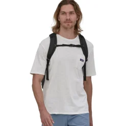 Sac à dos Patagonia Refugio Day Pack 30L Black