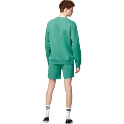 Short Picture Augusto Spectra Green