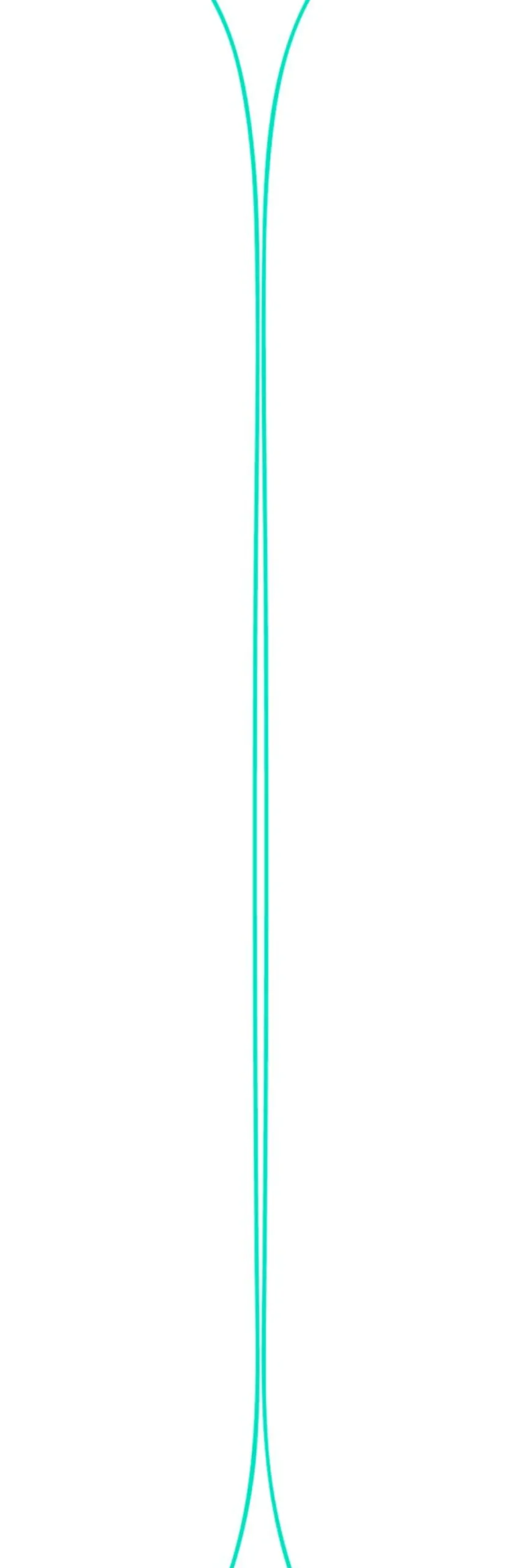 Ski Black Crows Atris