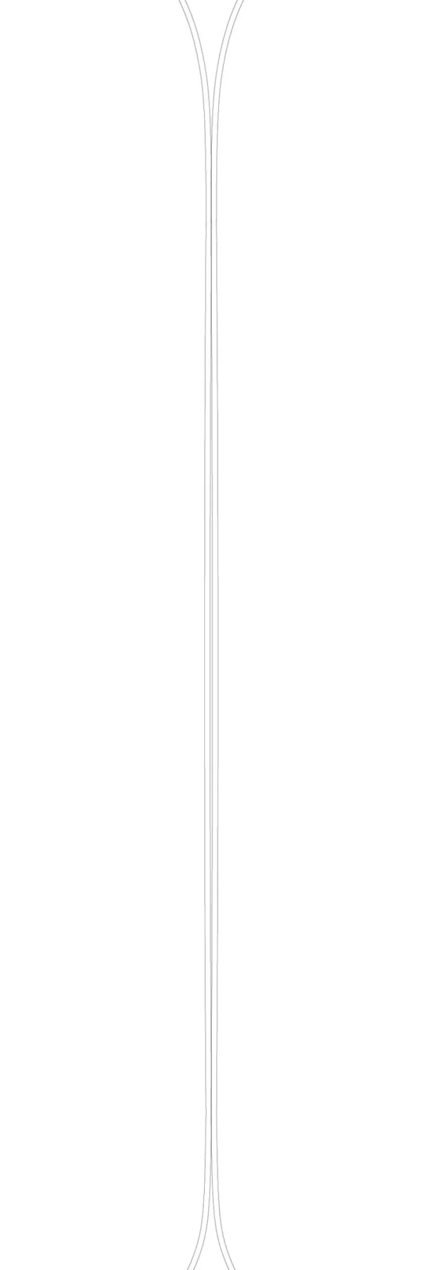 Ski Black Crows Camox