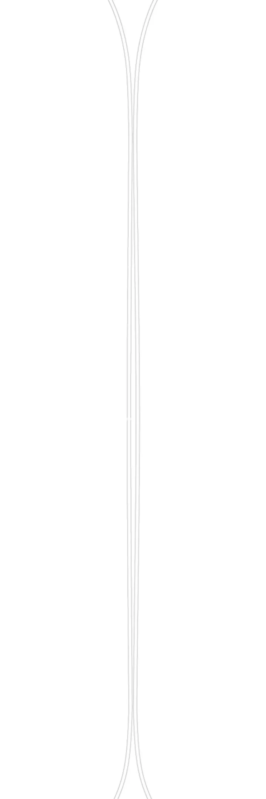 Ski Black Crows Camox Birdie Jr