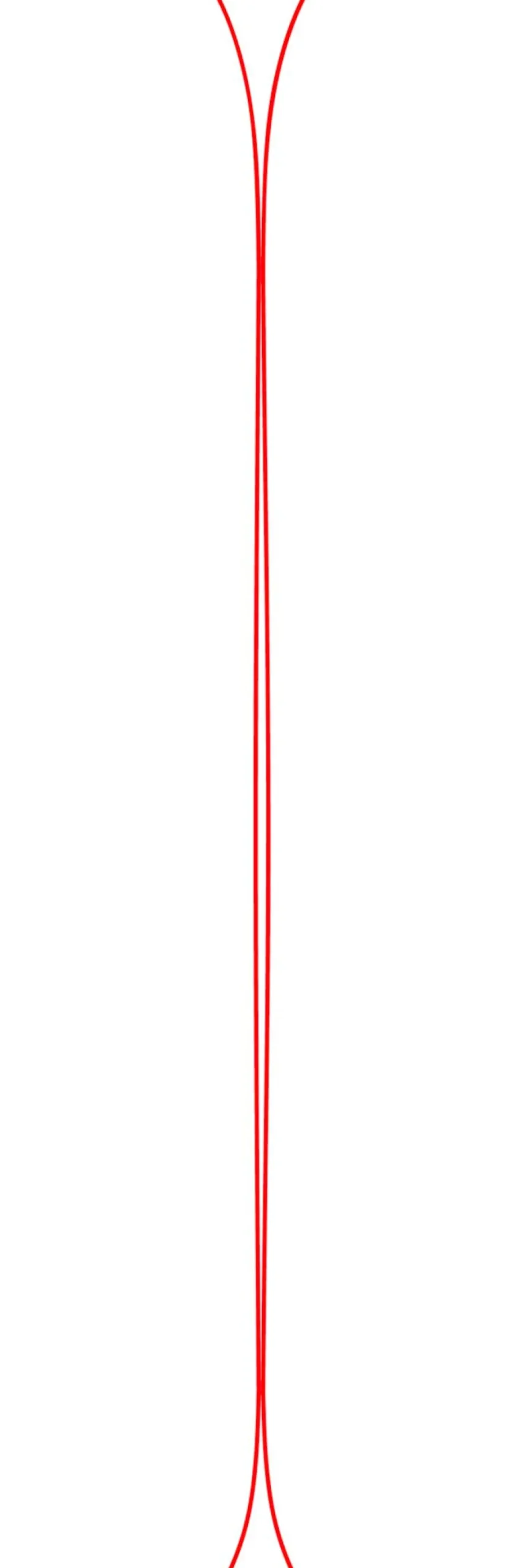 Ski Black Crows Camox Jr