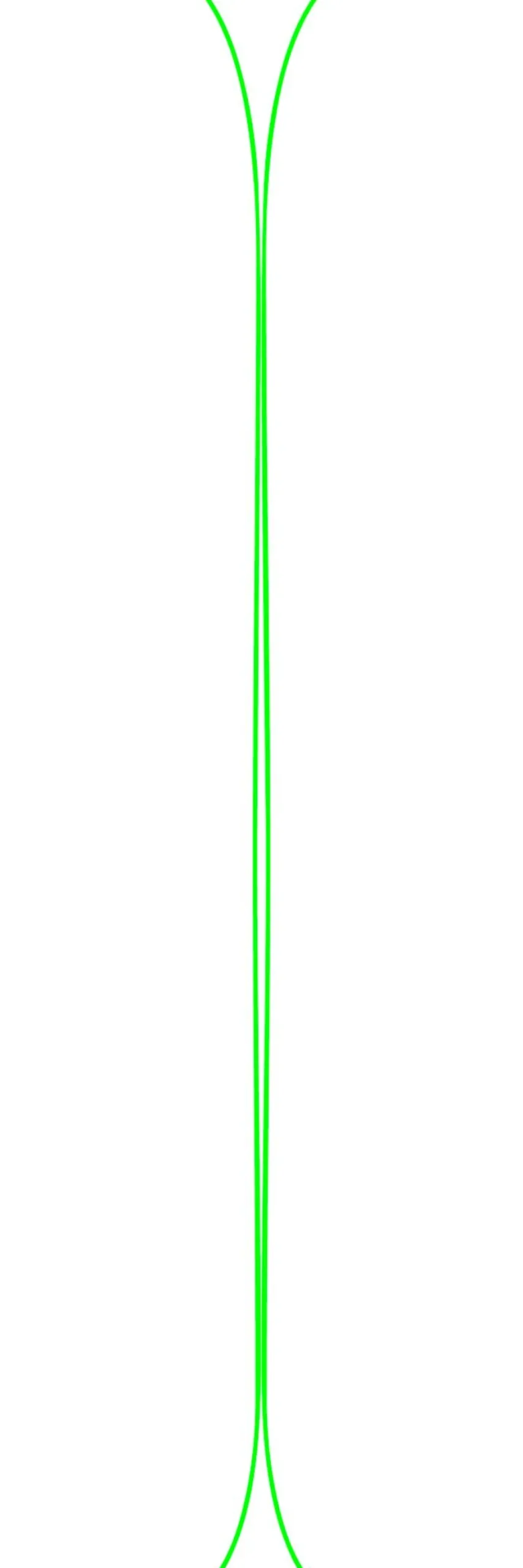 Ski Black Crows Junius