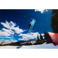 Ski Line Chronic 101