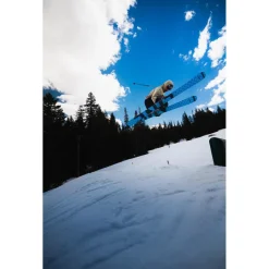 Ski Line Chronic 101