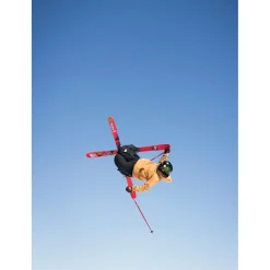 Ski Line Tom Wallisch Pro