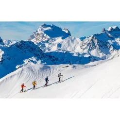 Ski Majesty Havoc 100 Carbon