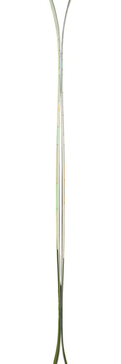 Ski Zag Slap 98 Lady