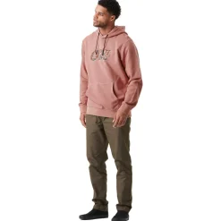 Sweat Picture Basement Leo Hoodie Washed Burlwood