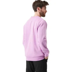 Sweat Picture Essential Crew Sheer Lilac