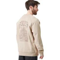 Sweat Picture Terra Crew Plaza Taupe