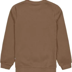 Sweat Picture Tofu Shitake