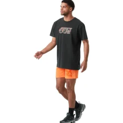 Tee-shirt Picture Basement Leo Tee Shirt Black Washed