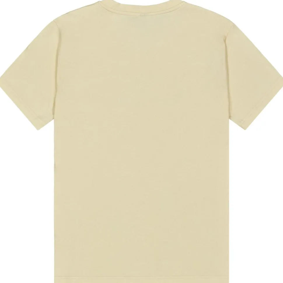 Tee-shirt Picture Basement Wealth Tee Shirt Wood Ash