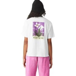 Tee-shirt Picture Yovel White